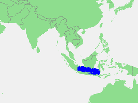 Localización del mar de Java