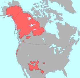 Ubicación de las lenguas na-dené en la época precolombina. Las lenguas na-dené, aunque son habladas por indígenas americanos, no pertenecen a la superfamilia amerindia.