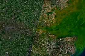 Vista de satélite del estuario