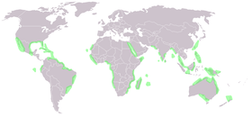 Distribución geográfica de los manglare