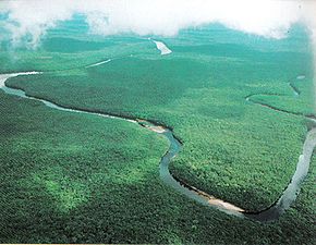 Vista aérea del Delta del Orinoco