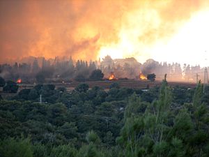 Foco del incendio forestal en Isfiya durante la primera etapa. (Imagen tomada desde la Universidad de Haifa).