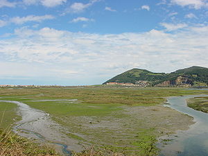 Marisma de Santoña, a la izquierda la playa de Berria y enfrente el Penal del Dueso