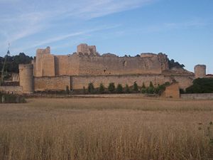 Castillo de Trigueros del Valle, Valladolid, Castilla. (MAG).jpg