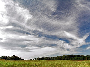 Nubes cirrus