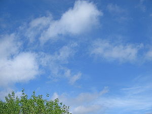 Nubes cumulus fractus