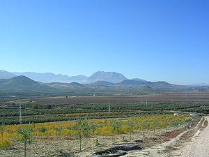 Valle del Guadalquivir frente a Sierra Mágina, en Úbeda (Jaén).