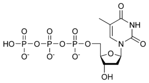 DTTP chemical structure.png