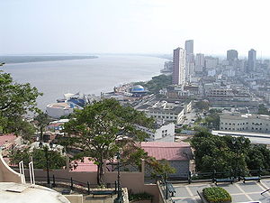 Centro urbano de Guayaquil visto desde el cerro Santa Ana.