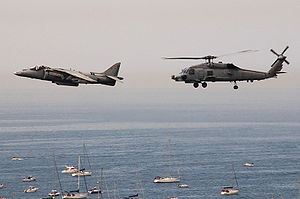 Harrier + seahawk FAC09.jpg