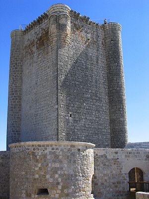 Torre del homenaje del castillo