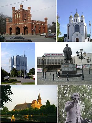 Kaliningrad collage.jpg