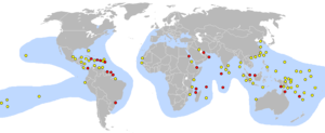 Área de distribución de la especie y lugares de puesta.[2]  Rojo: Principales. Amarillo: Otros.