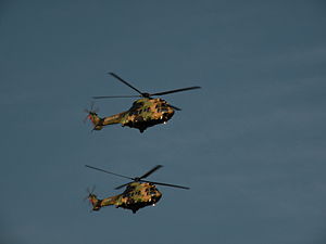 Military helicopters of Chile, 2010.jpg