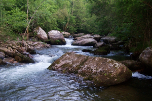 El río Besaya se une a las aguas del saja a la altura de la localidad de Ganzo, dentro del municipio de Torrelavega.