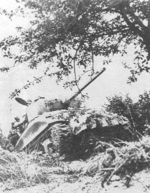 Sherman Rhino Normandy 1944.JPG