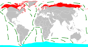 Anidamiento (rojo), invernación (azul) y rutas de migración (verde)