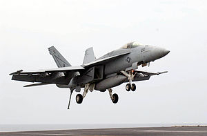 US Navy 030413-N-4441P-003 An F-A-18E assigned to the ^ldquo,Tophatters^rdquo, of Strike Fighter Squadron Fourteen (VFA-14).jpg