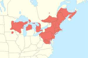 Mapa de el este de Estados Unidos y el este de Canadá, las partes coloreadas se corresponden a las zonas habitadas por los galápagos de bosque.
