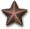 Bronze-service-star-3d.png