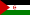 Flag of the Sahrawi Arab Democratic Republic.svg