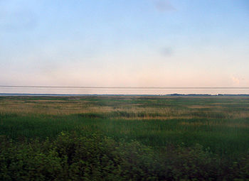 Barabinsk steppe.jpg