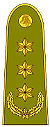 LT-Army-OF5.jpg