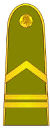 LT-Army-OR5a.jpg