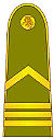 LT-Army-OR6.jpg