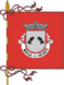 Bandera de São Vicente (Braga)