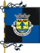 Bandera de Oliveira de Frades (freguesia)