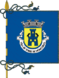 Bandera de Torre de Moncorvo (freguesia)
