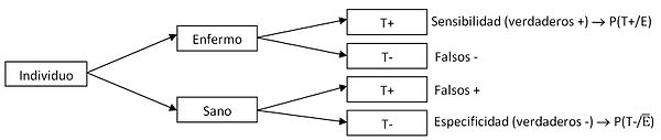 Diagrama de árbol.jpg