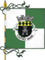 Bandera de Castro Daire (freguesia)