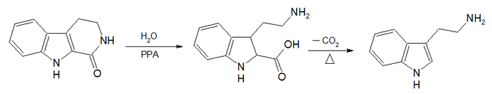 General structure of substituted tryptamines