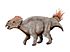 Ajkaceratops NT.jpg