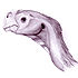 Conchoraptor gracilis profile1.jpg