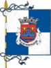 Bandera de Montalegre