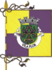 Bandera de Vila Flor