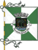 Bandera de Vila Nova de Foz Côa