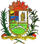 Escudo de Municipio San Fernando