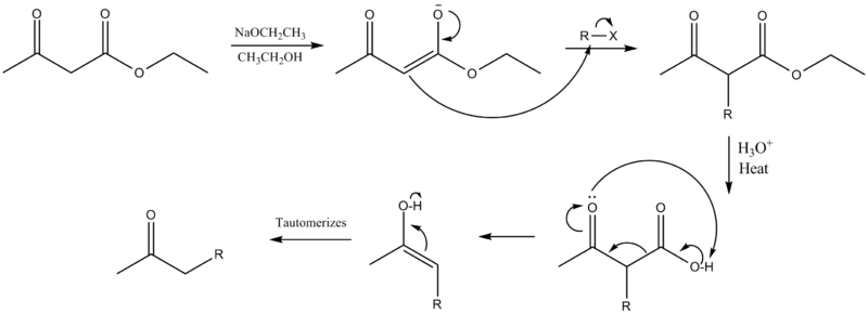 Acetoacetic ester mechanism.png