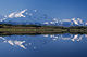 Denali-from-reflection-pond.jpg