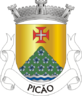 Escudo de Picão (Castro Daire)