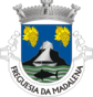 Escudo de Madalena (freguesia)