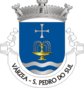 Escudo de Várzea (São Pedro do Sul)