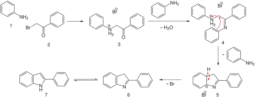 The mechanism of the Bischler-Möhlau indole synthesis