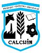 Escudo de Calchín