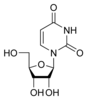 Estructura química de la uridina