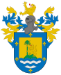 Escudo de Villarrica